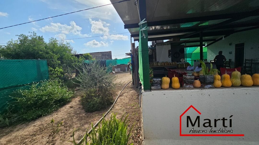 Finca rústica con alquería y 2.935 m² de terreno - Foto 5