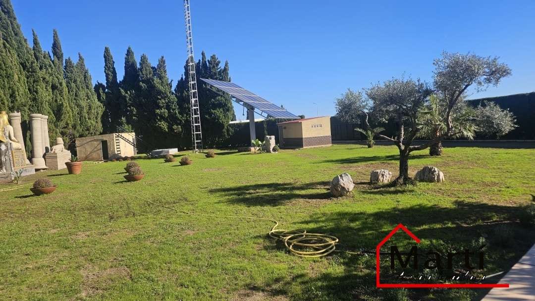 CENAS BAJO LAS ESTRELLS EN TU PROPIO JARDIN - Foto 1