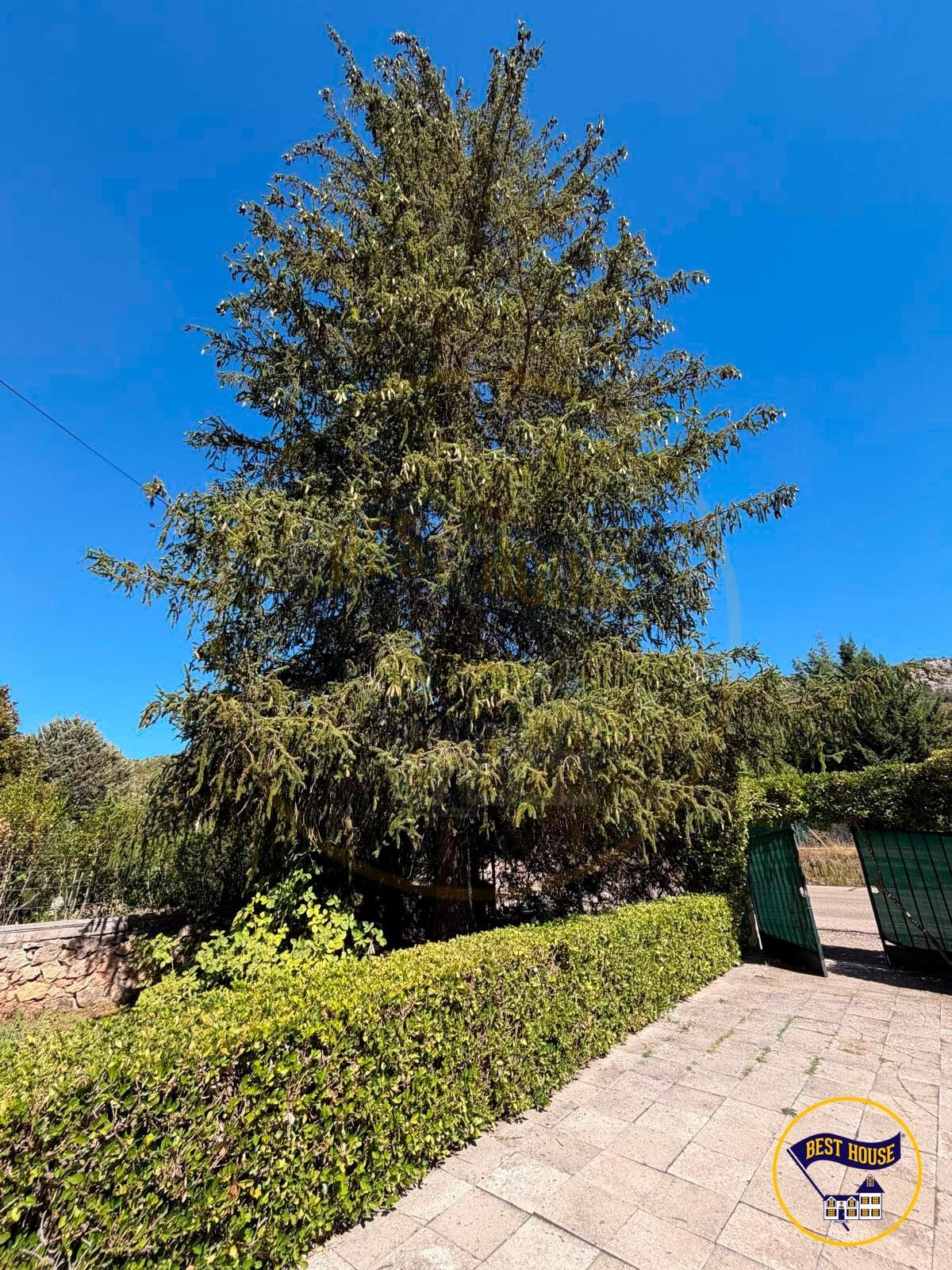 Finca Cuenca (24)